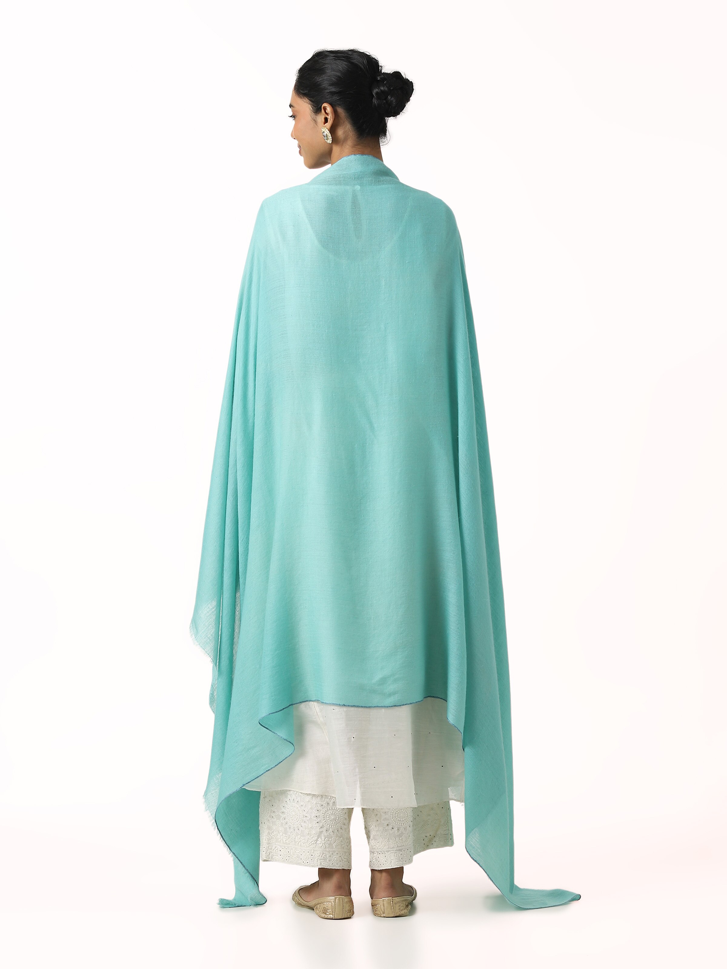 Sea Green Pashmina Kaaj Embroidered Shawl