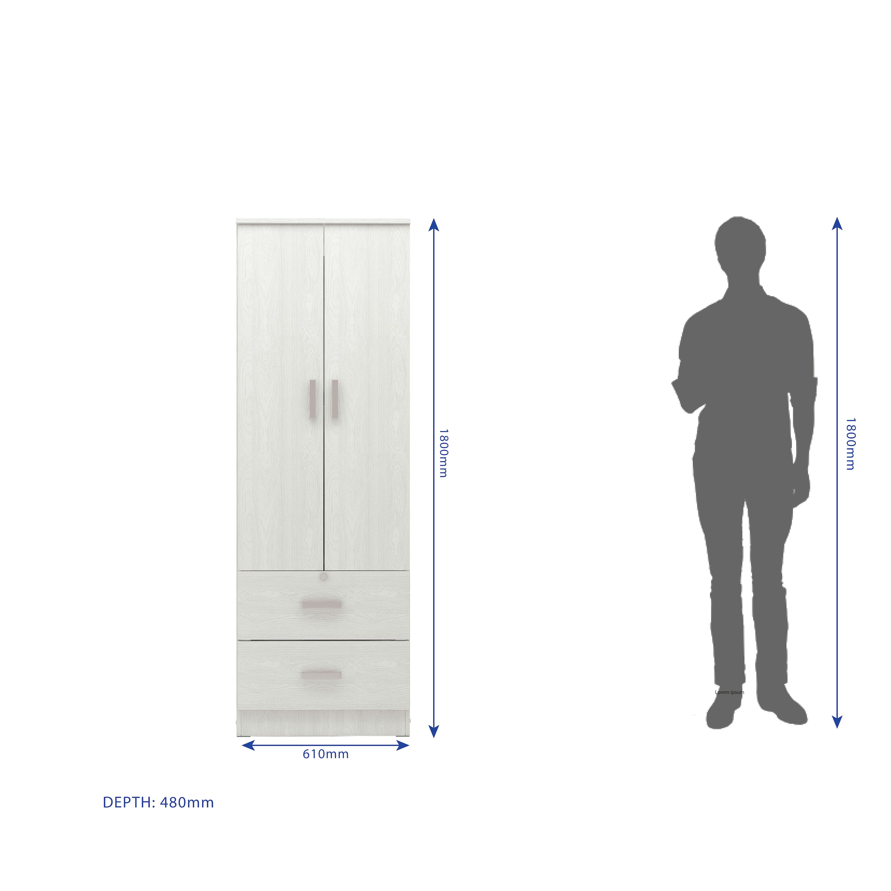 Ren 2 Door Engineered Wood Wardrobe in Silver Oak Finish