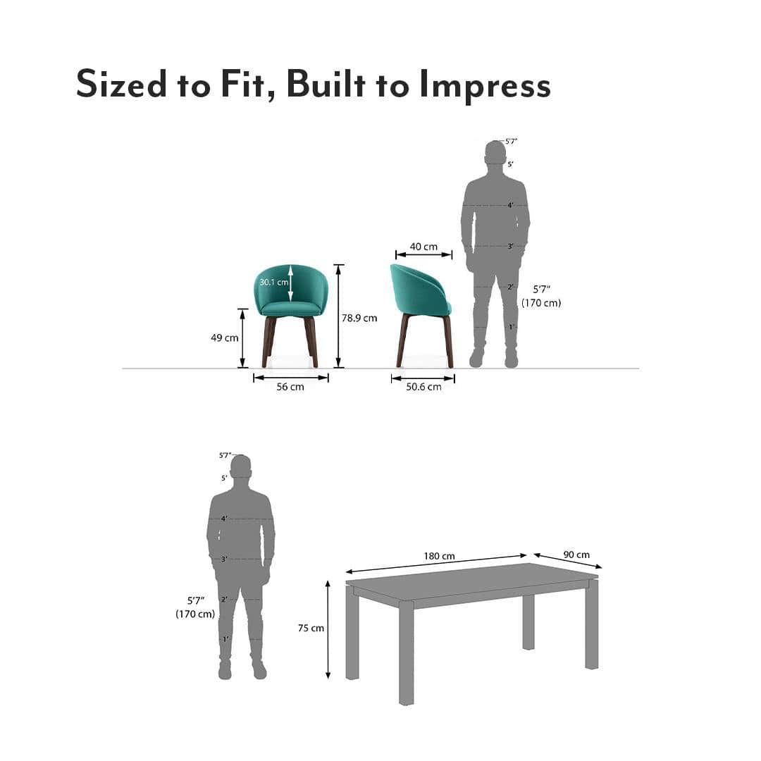 Atlas Solid Wood 6 Seater Dining Table with 6 Meryl Lounge Chair