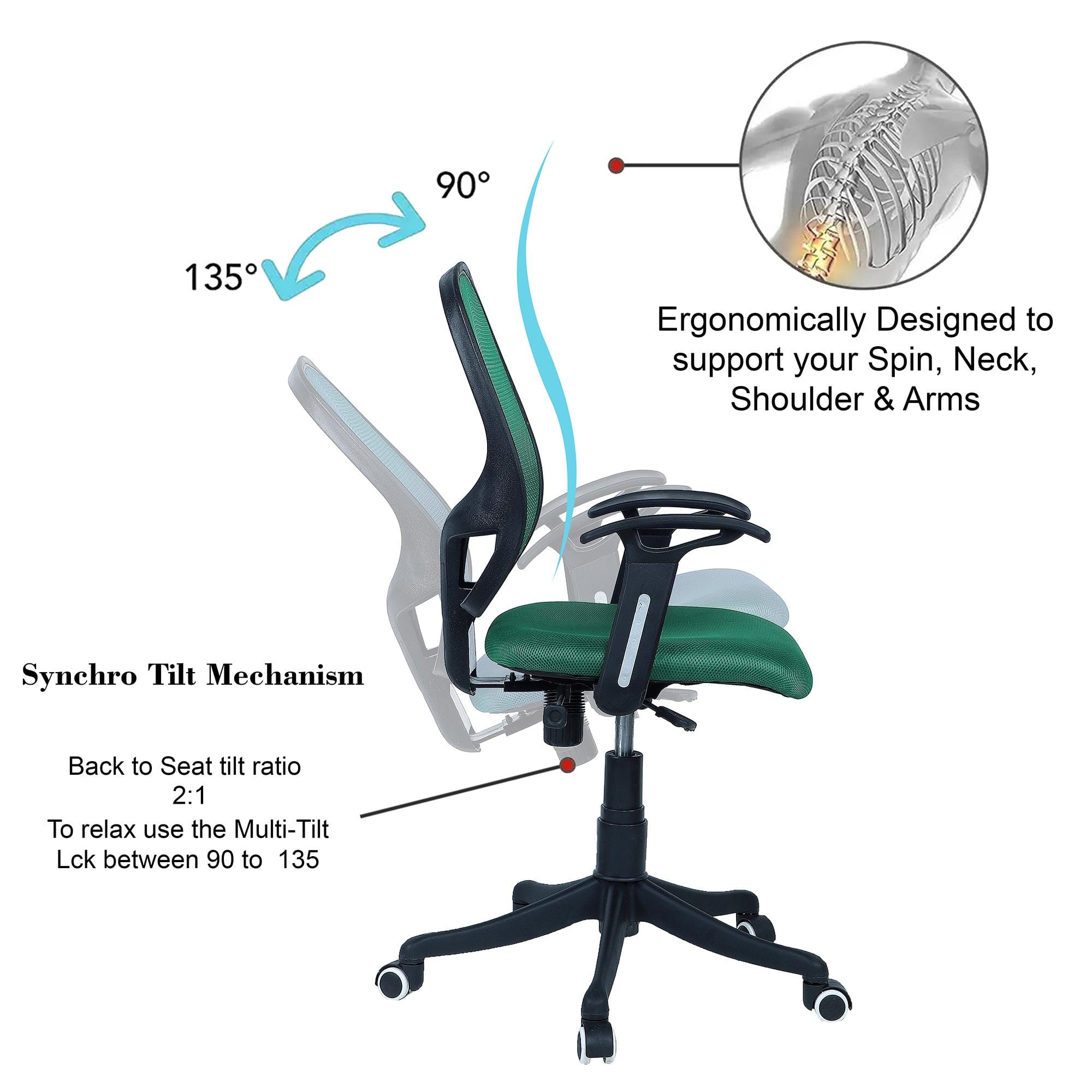 Goolda Low Back Ergonomic Chair in Dark Green Colour
