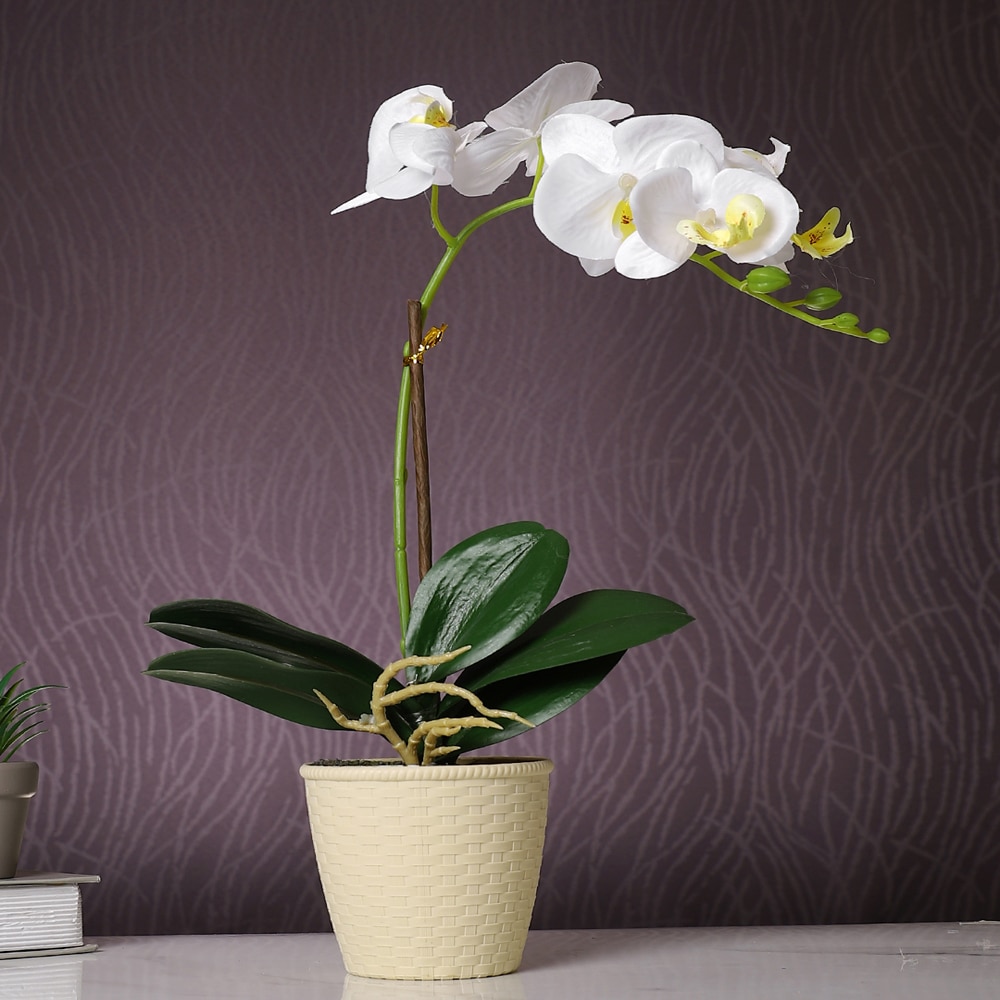 Beige 1 Pieces Orchid Artificial Plant With Pot