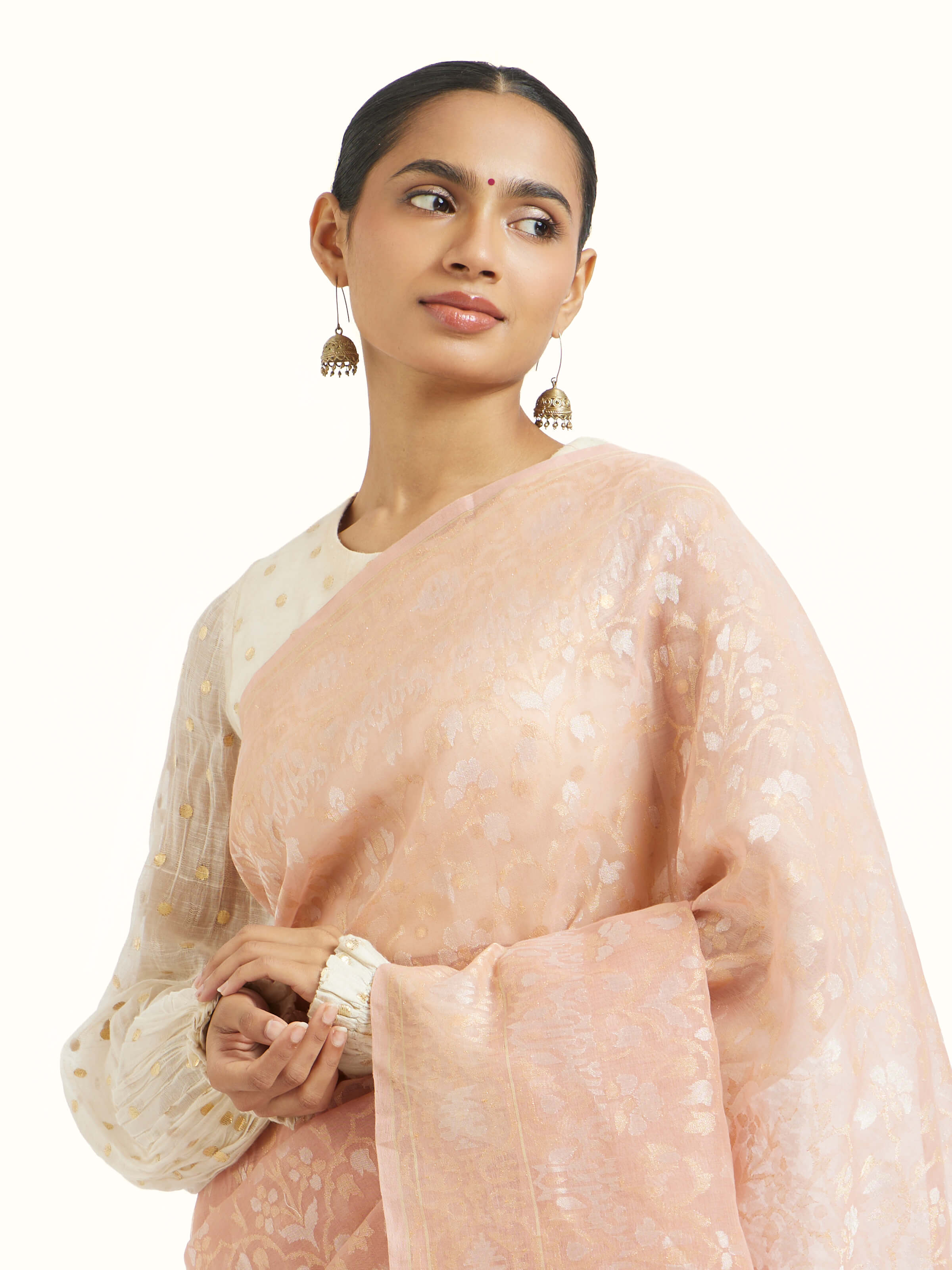 Tan Cotton Awadh Jamdani Banarasi Saree