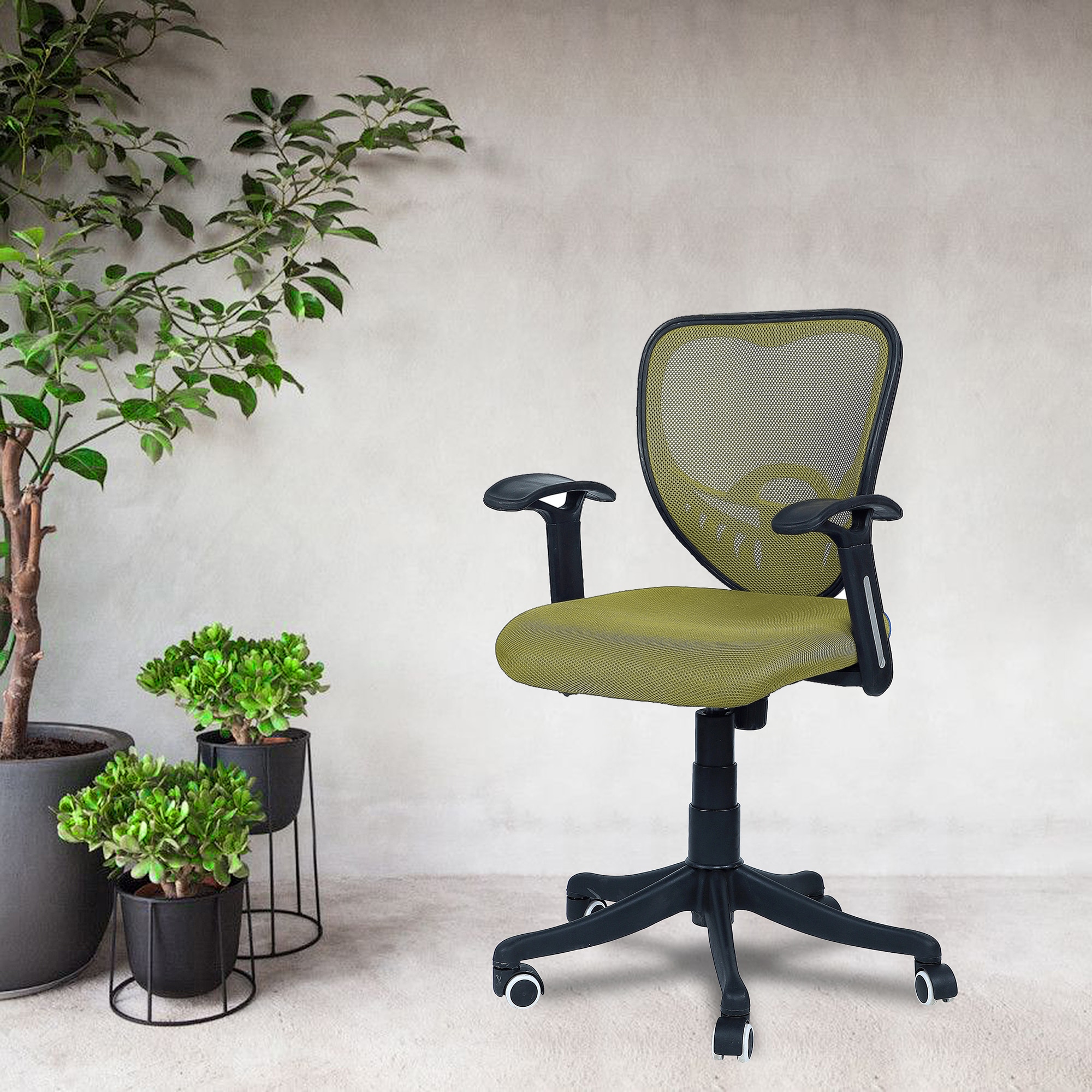 Odrione Low Back Ergonomic Chair in Pearl Green Colour