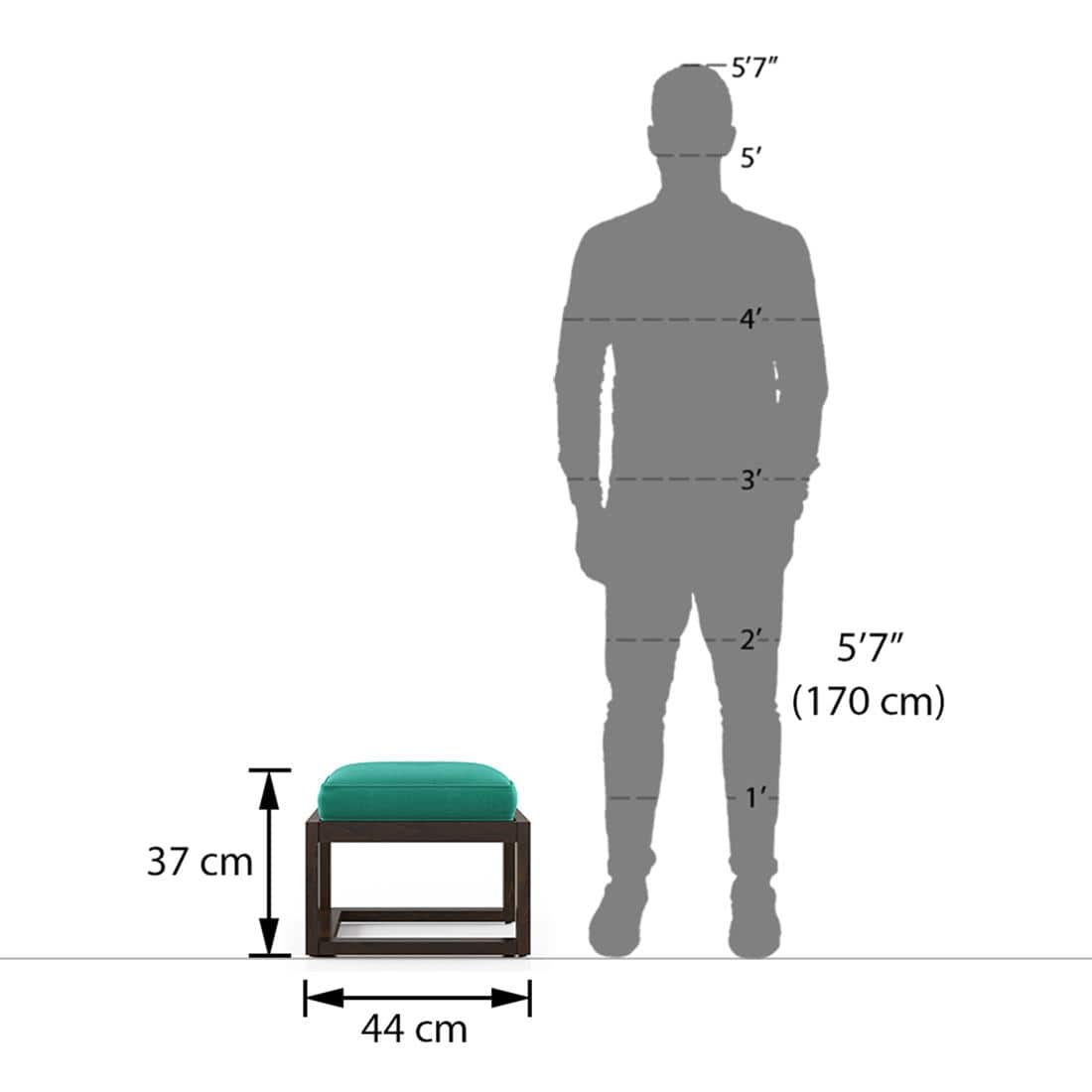 Avril Rectangular Solid Wood Coffee Table In Mango Walnut Finish and in Lagoon Green Colour