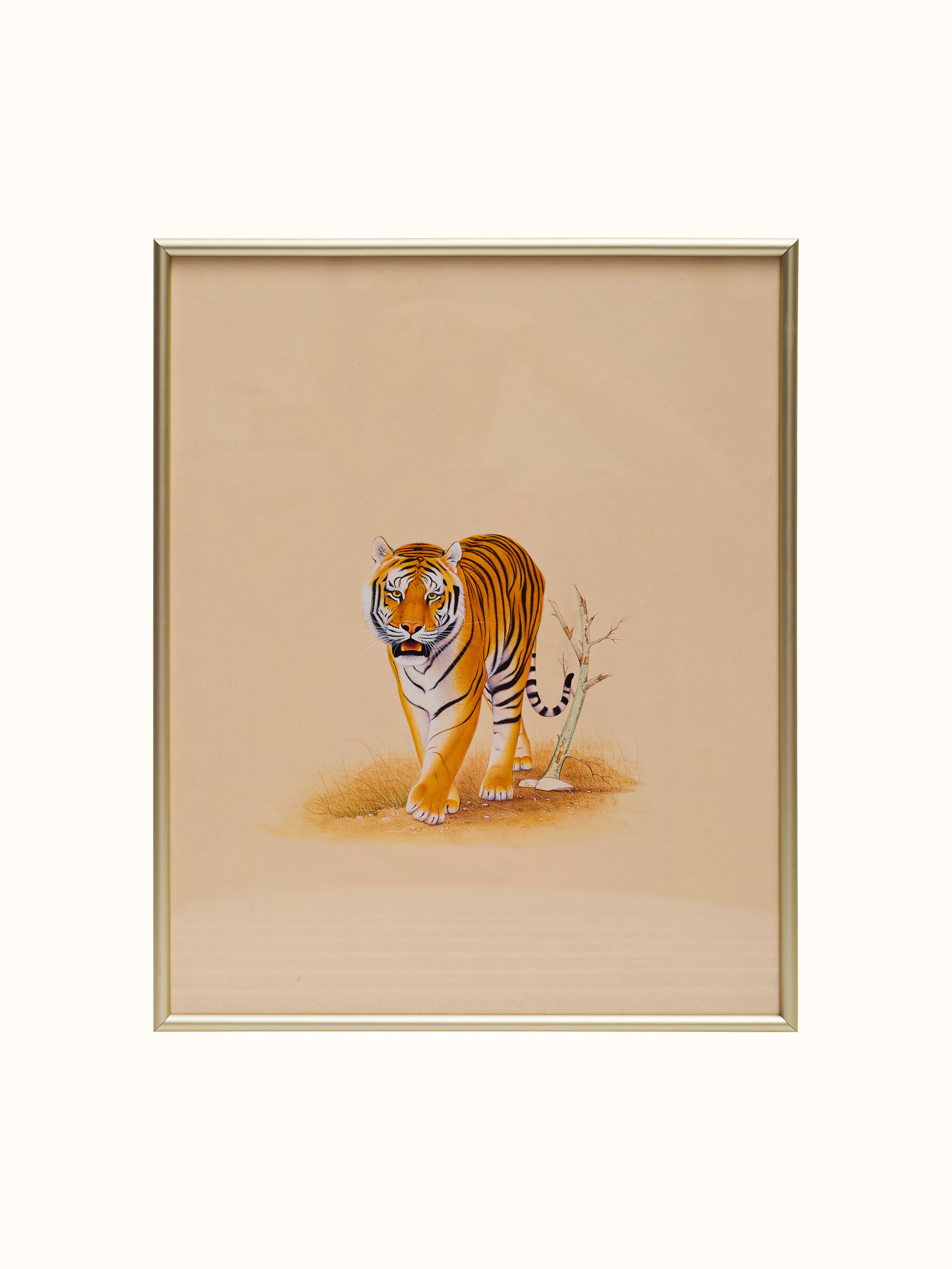 Tiger Miniature Painting