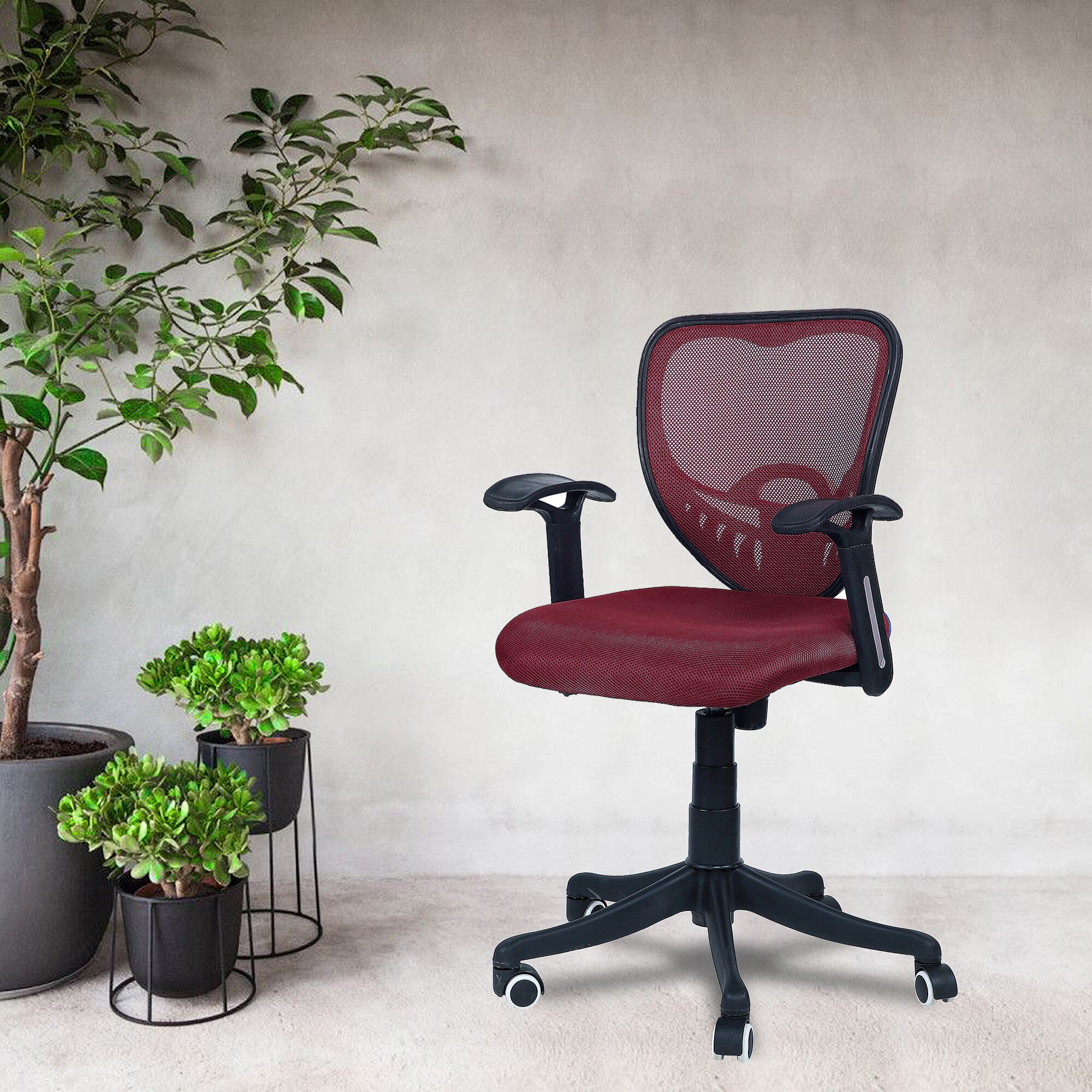 Odrione Low Back Ergonomic Chair in Maroon Colour