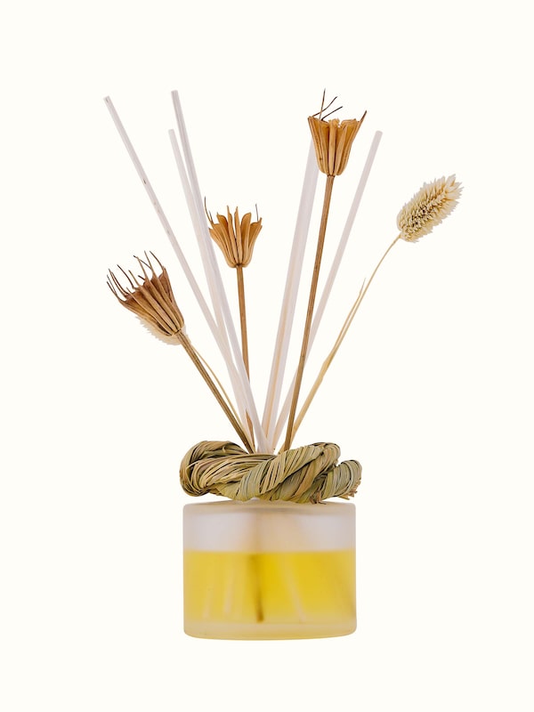 Lemongrass Aroma Reed Diffuser (100 ml)