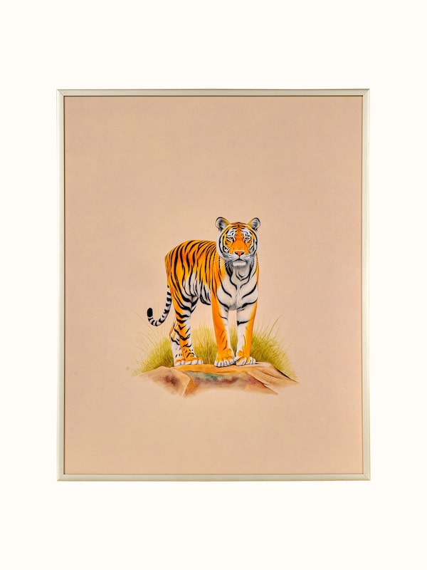 Tiger Miniature Painting