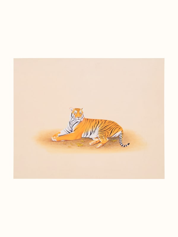 Tiger Miniature Painting