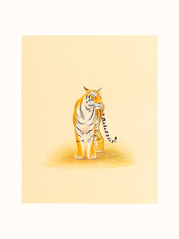 Tiger Miniature Painting