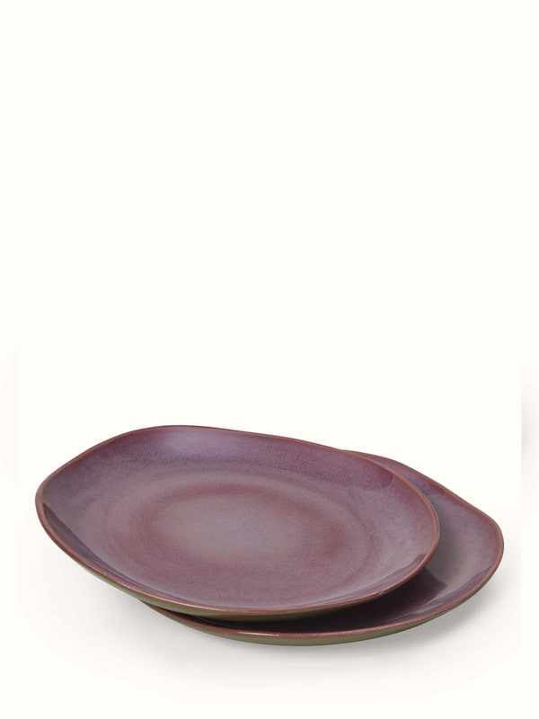 Khurja Pottery Ceramic Dinner Plates (2 Pcs)