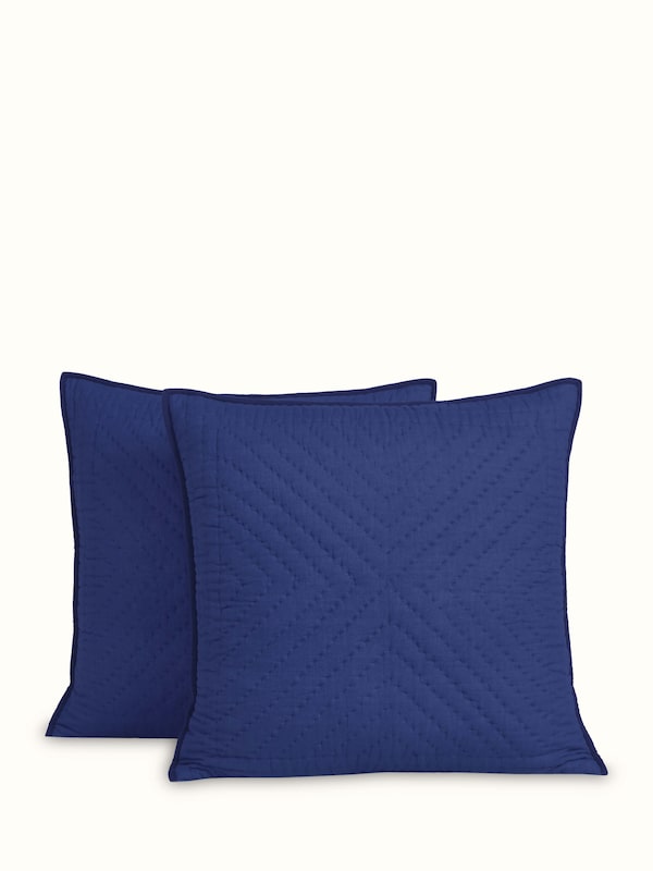 Kalpanama Indigo Handwoven Buti Cotton Euro Shams (2 Pcs)