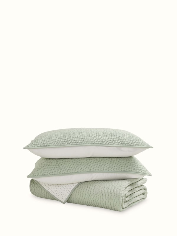 Nityam Light Green Two-Tone Textured Cotton Razai Embroidery Double-size Bedspread Set