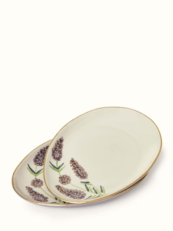 Khurja Pottery Ceramic Serving Plates (2 Pcs)
