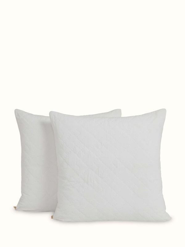 Shivranjini Ivory Textured Cotton Razai Embroidery Euro Shams (2 Pcs)