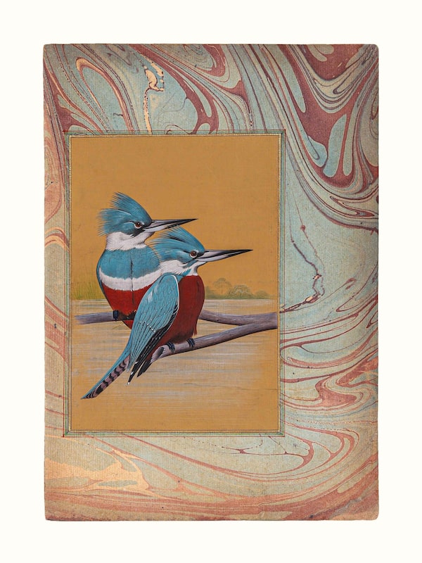 Pair of Kingfisher Miniature Painting