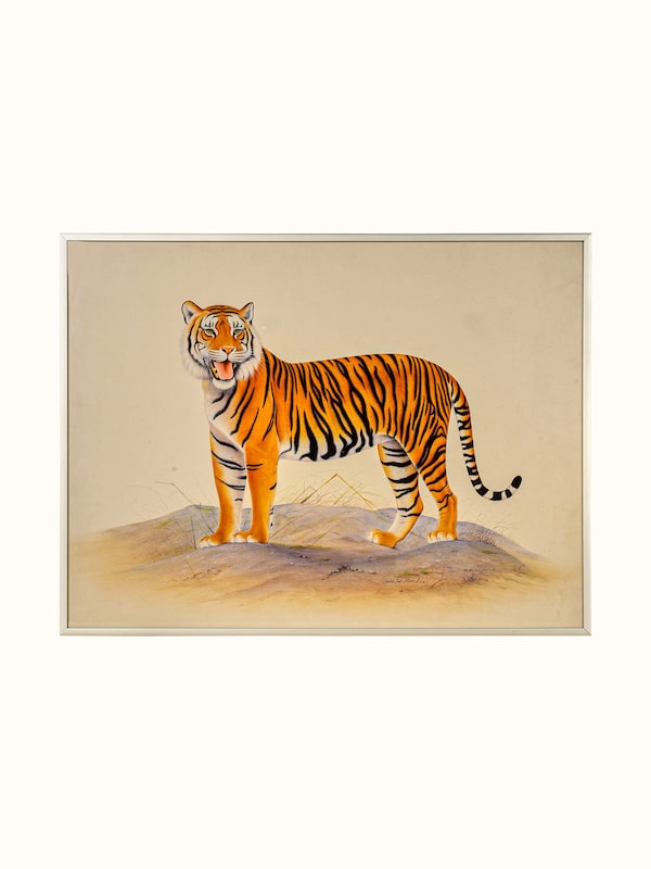 Roaring Tiger Miniature Painting