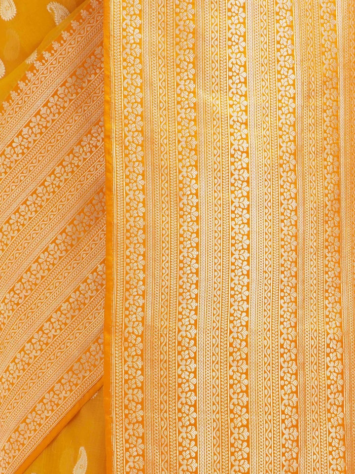 Detail view of the Trisha Mulberry Silk Banarasi Saree