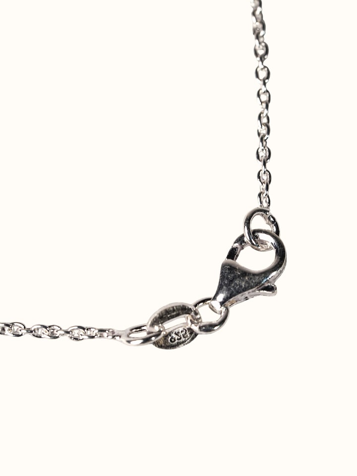 Top view of the Gemstone Panchmukhi Rudraksha Mini Silver Necklace