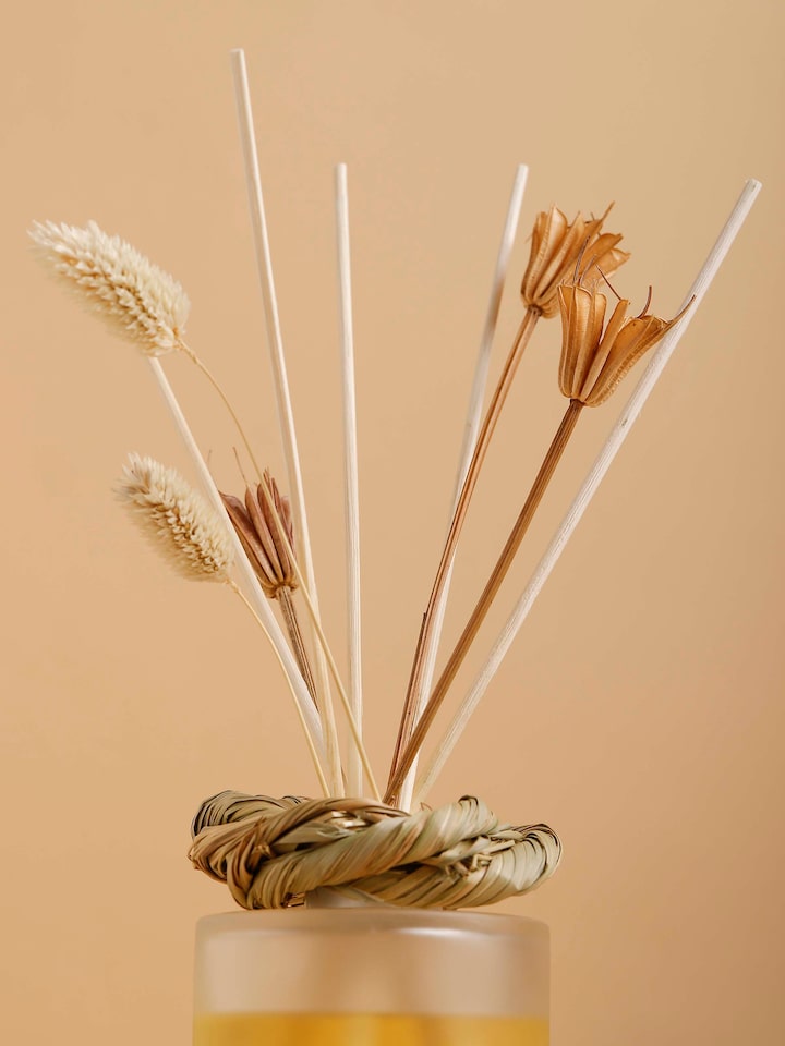 Lemongrass Aroma Reed Diffuser (100 ml)