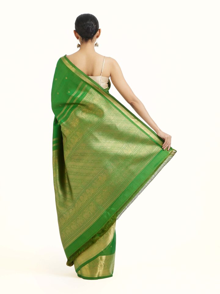 Back view of green silk Kancheepuram saree displaying ornate pallu