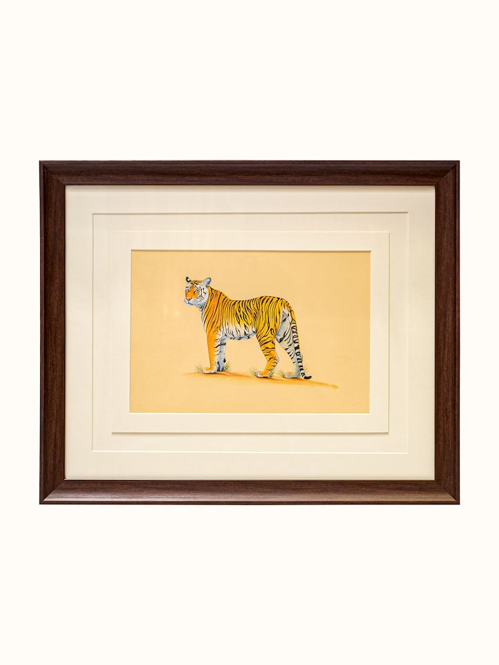 Front view of the Tiger Miniature Painting
