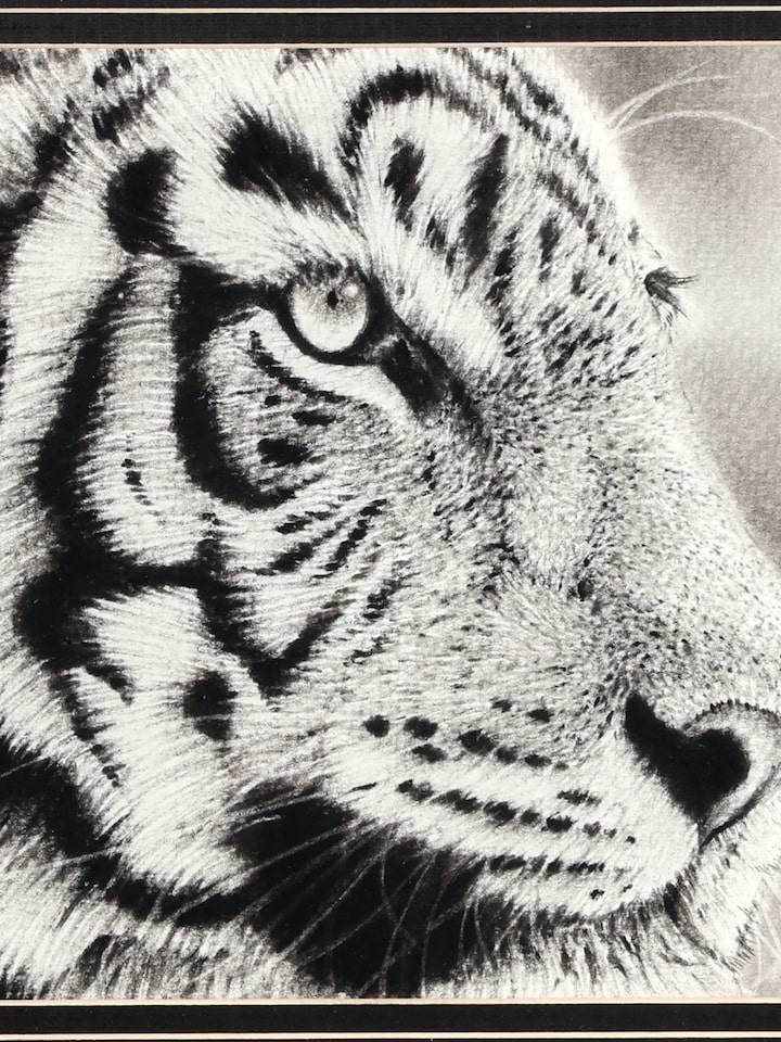 Close-up detail of the Tiger on Hunt Miniature Painting