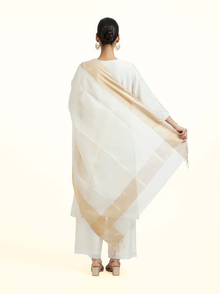 Back view of the Blue Patan Patola Saree