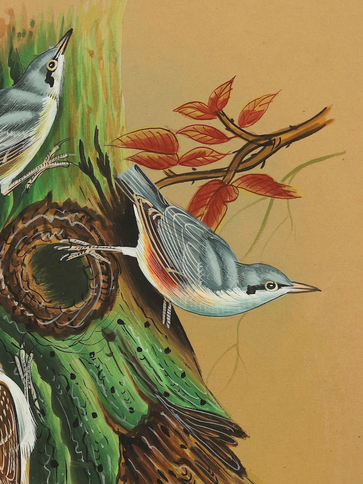 Detail view of the Nuthatch Miniature Painting