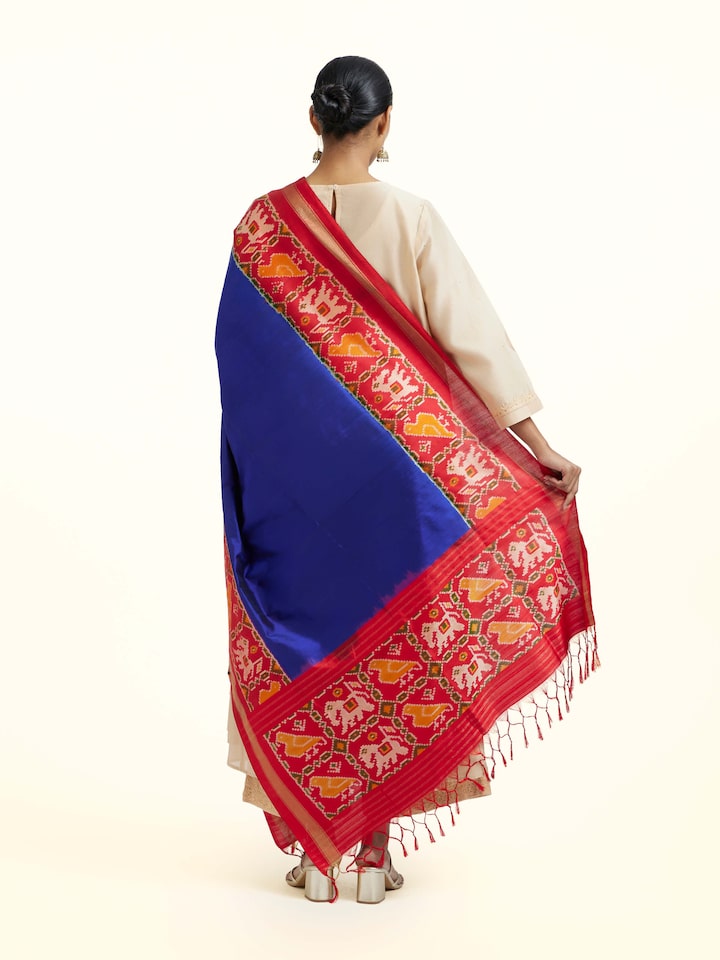 Back view of the Blue Silk Pochampally Weft Ikat Dupatta