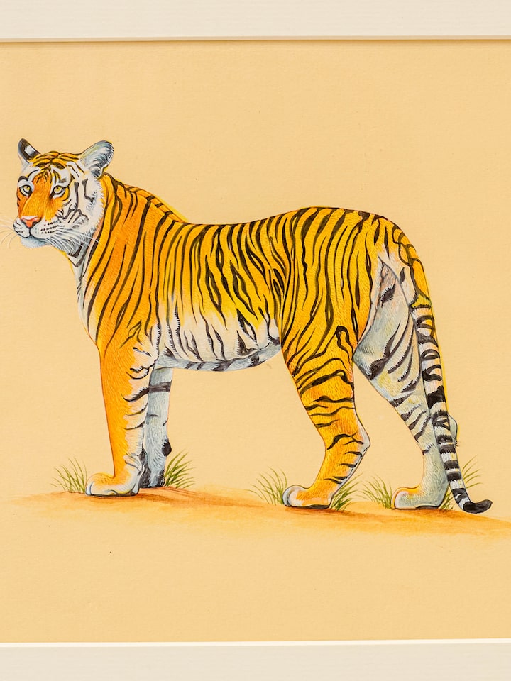 Detail view of the Tiger Miniature Painting