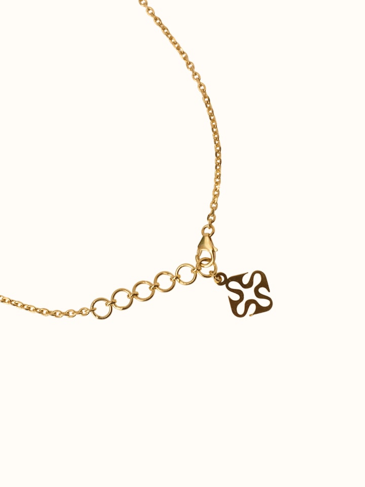 close-up view of rosewood inlaid silver pendant and chain texture