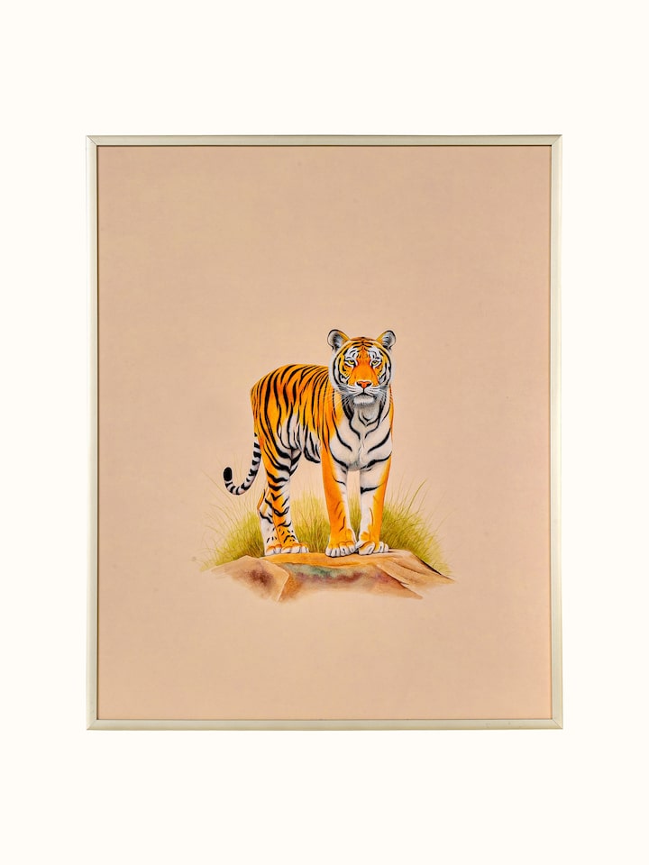 Front view of the Tiger Miniature Painting