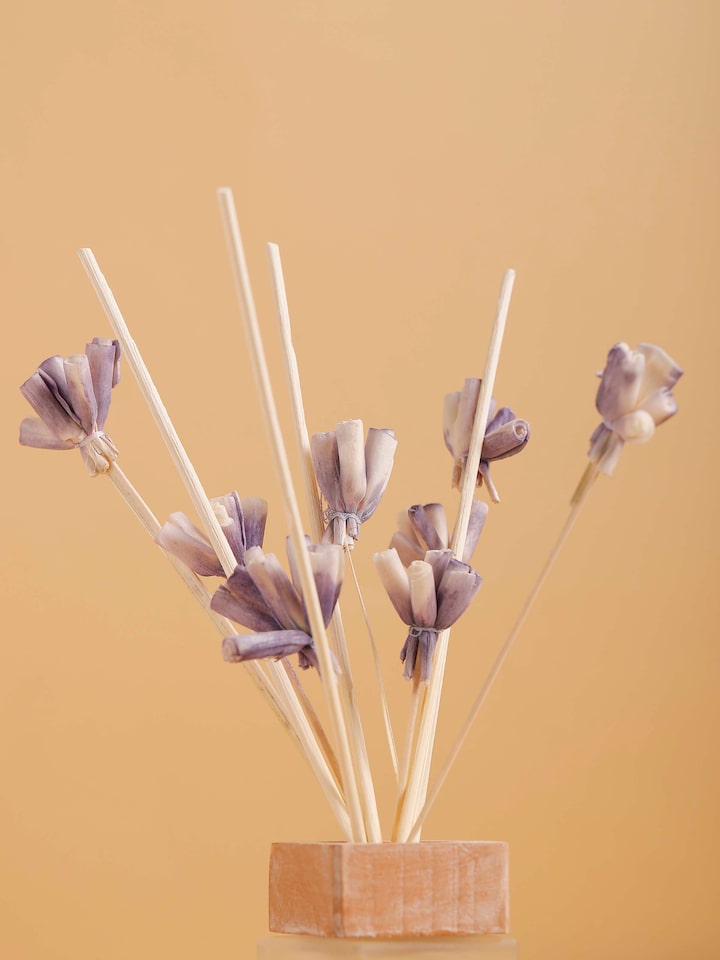Lavender Aroma Reed Diffuser (50 ml)
