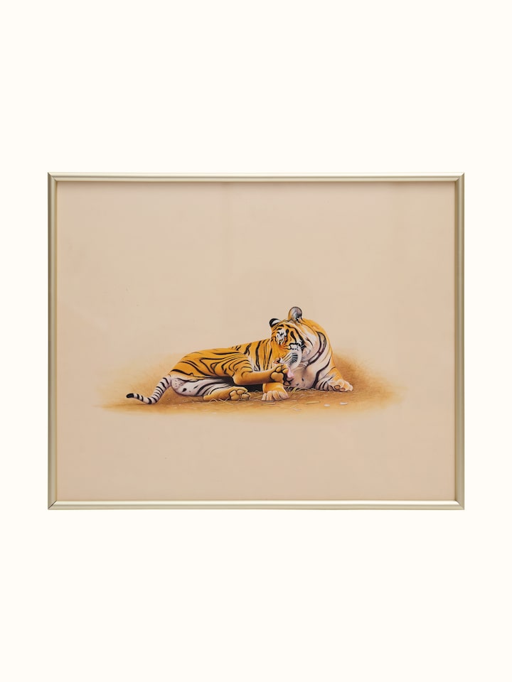 Front view of the Tiger Miniature Painting