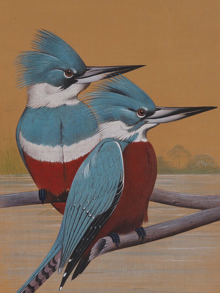 Detail view of the Pair of Kingfisher Miniature Painting