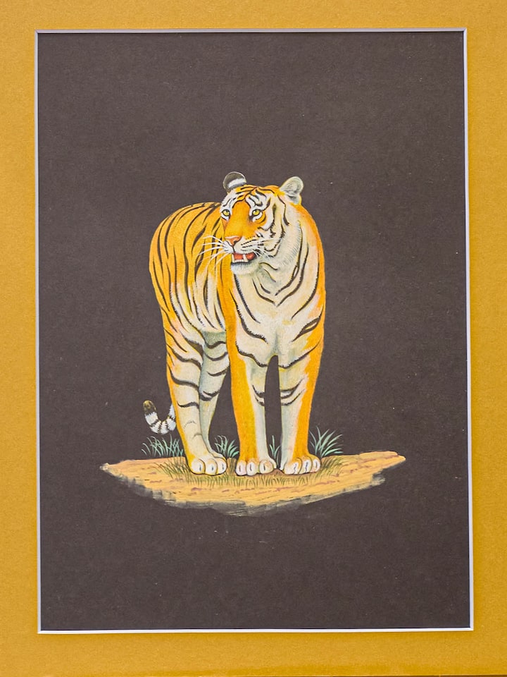 Detail view of the Tiger Miniature Painting