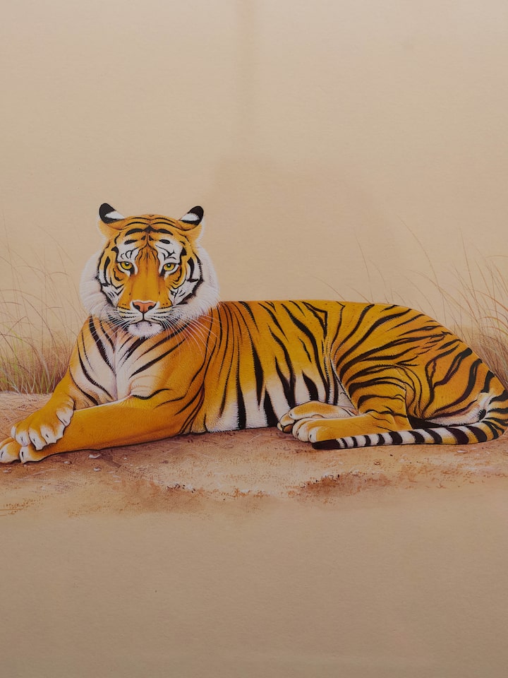Detail view of the Tiger Miniature Painting