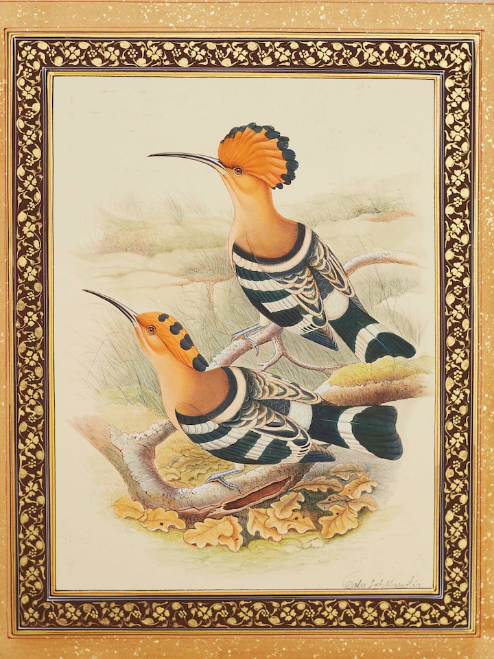 Detail view of the Hudhud Floral Boarder Miniature Painting