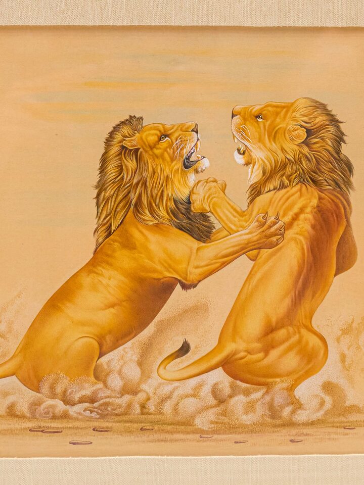 Detailed view of the Lions Fight Miniature Painting