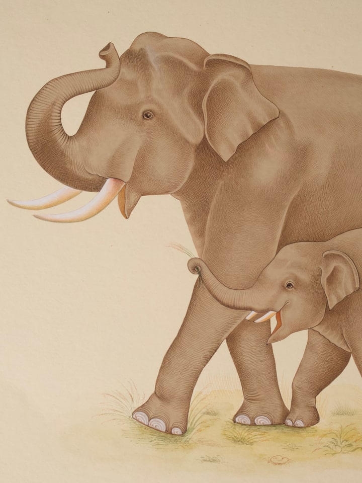 Detail view of the Elephant with Calf Miniature Painting