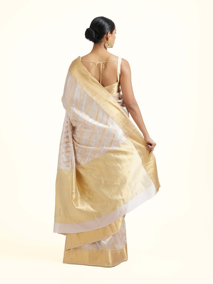 Back view of the Grey Cotton Silk Chanderi Handloom Pattu Saree