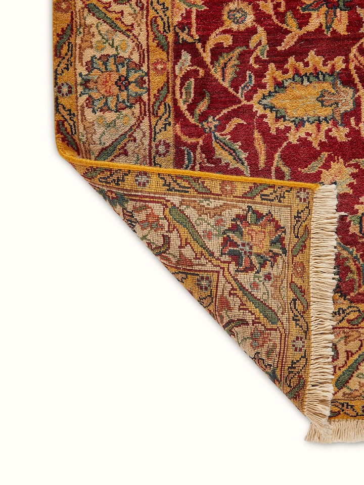 Full view of Ziegler traditional red Jaipur wool hand-knotted carpet rolled out, demonstrating its overall design and size