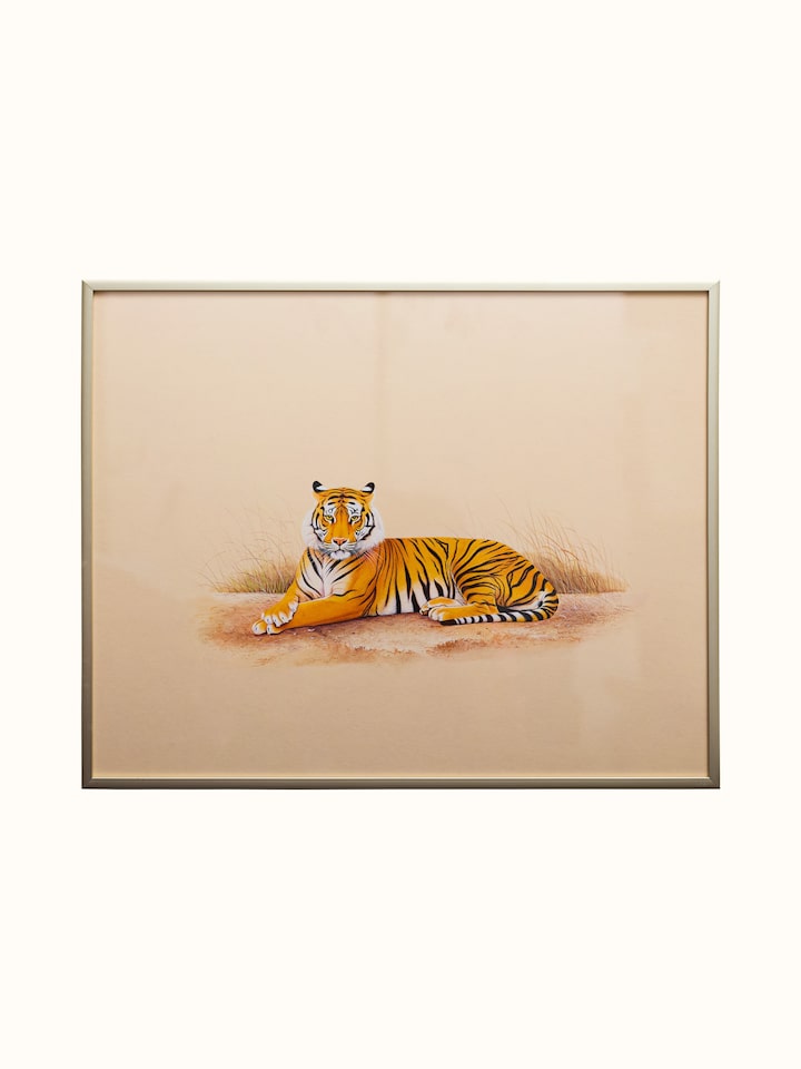 Front view of the Tiger Miniature Painting