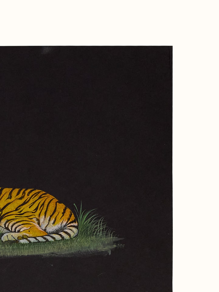 Close-up detail of the Tiger Miniature Painting
