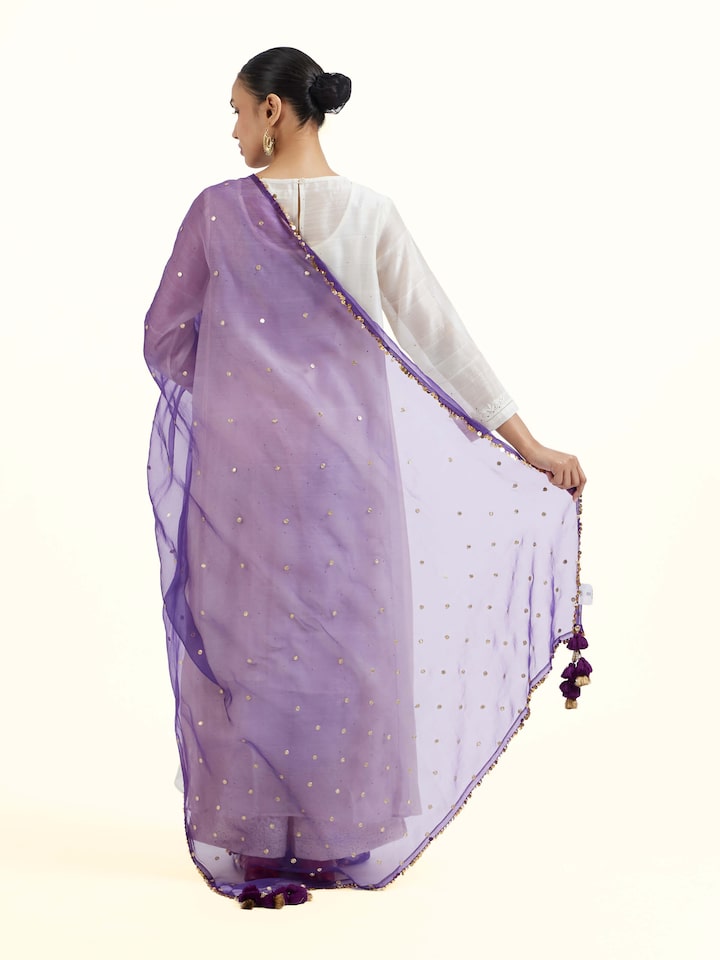Back view of Purple Hand Embroidered Dupatta emphasizing the overall design and fine details