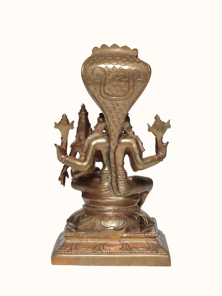 Back view of the Bronze Cast Varaha Lakshmi Idol