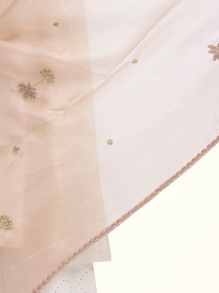 Detailed view of Beige Zardozi Hand Embroidered Dupatta focusing on the fine craftsmanship and texture