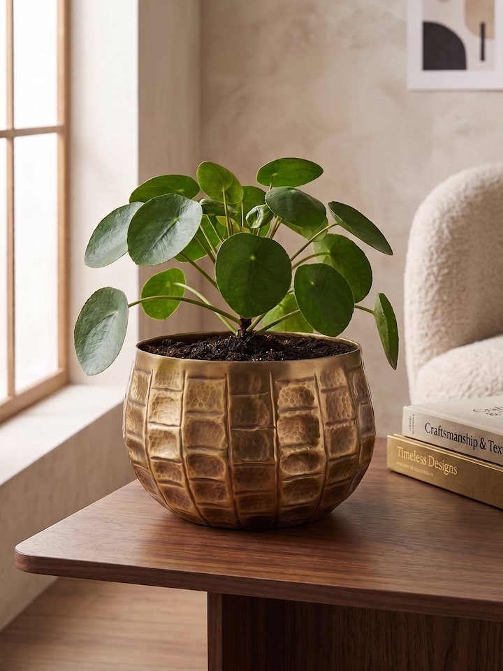 Styled view of Antique Brass Planter styled in a home setting