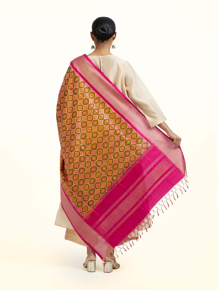 Back view of the Assorted Silk Pochampally Weft Ikat Dupatta